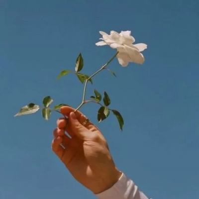 刀塔霸业手机版下载